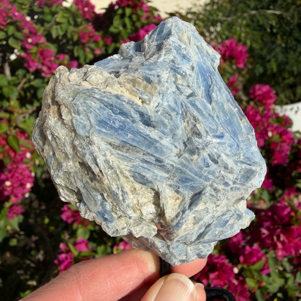 Kyanite in Quartz on stand